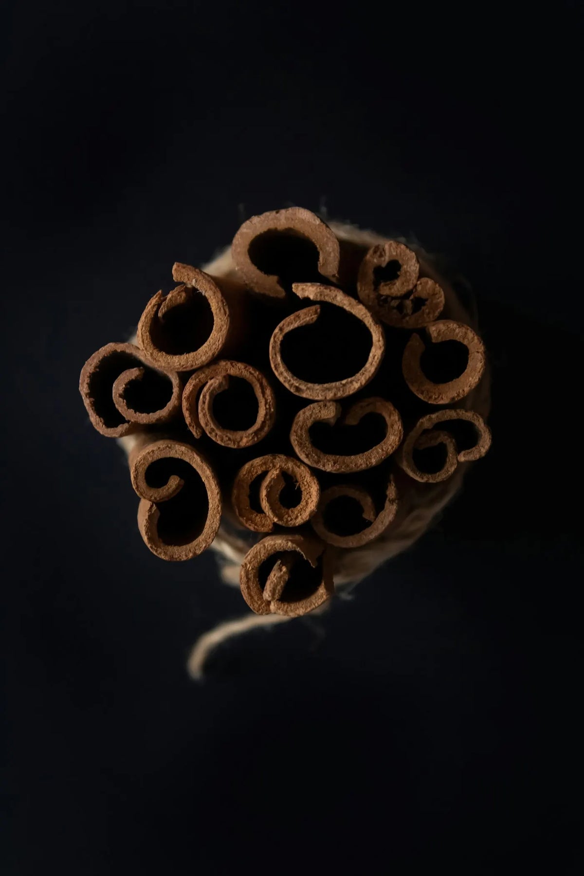 Detalle macro de rollos de canela, una de las notas de la colección